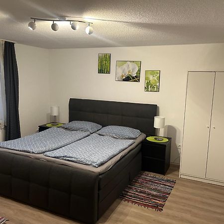 Ferienhaus Ayna, Direkt An Der Schweizer Grenze Bad Säckingen Eksteriør bilde
