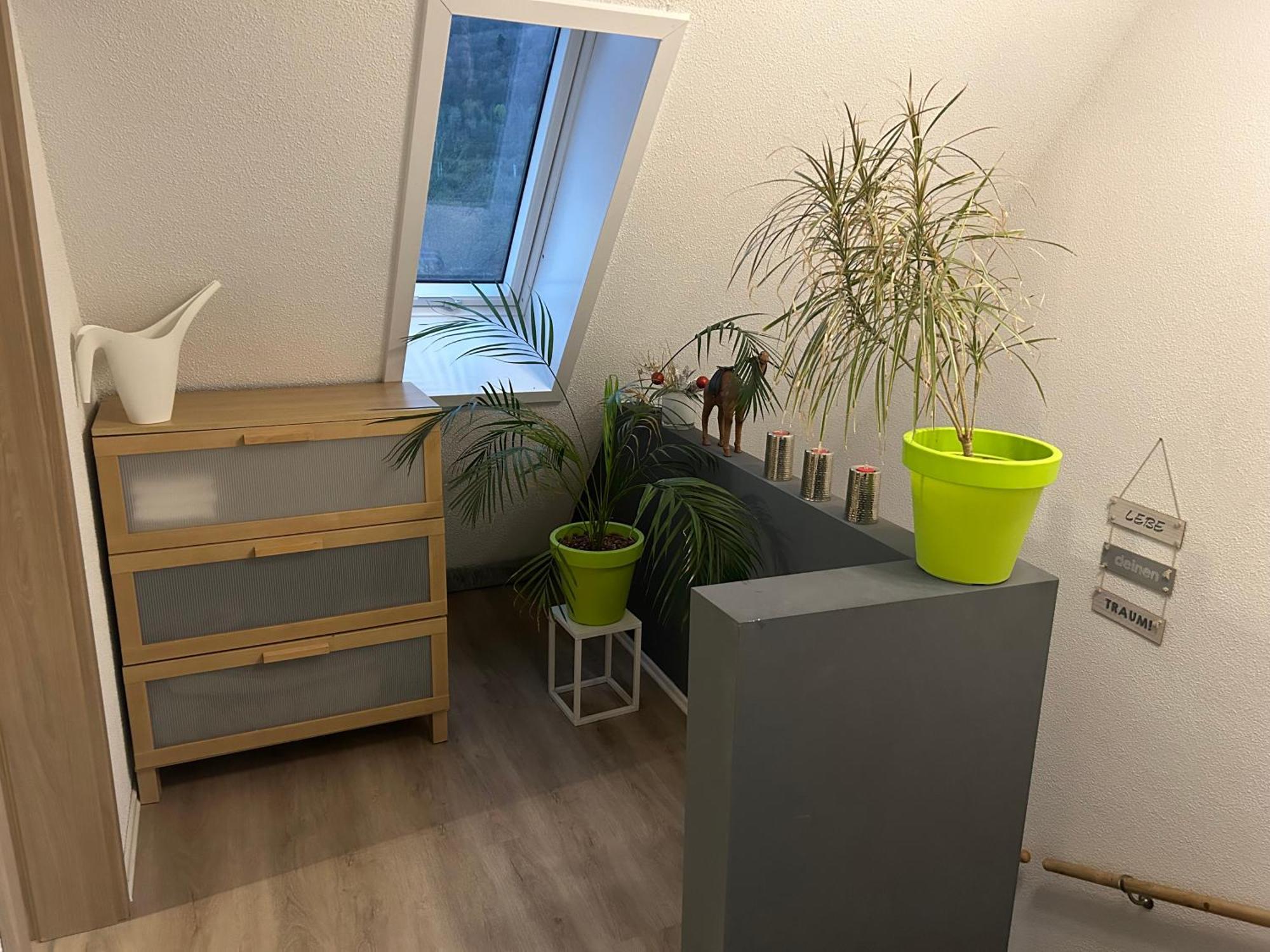 Ferienhaus Ayna, Direkt An Der Schweizer Grenze Bad Säckingen Eksteriør bilde